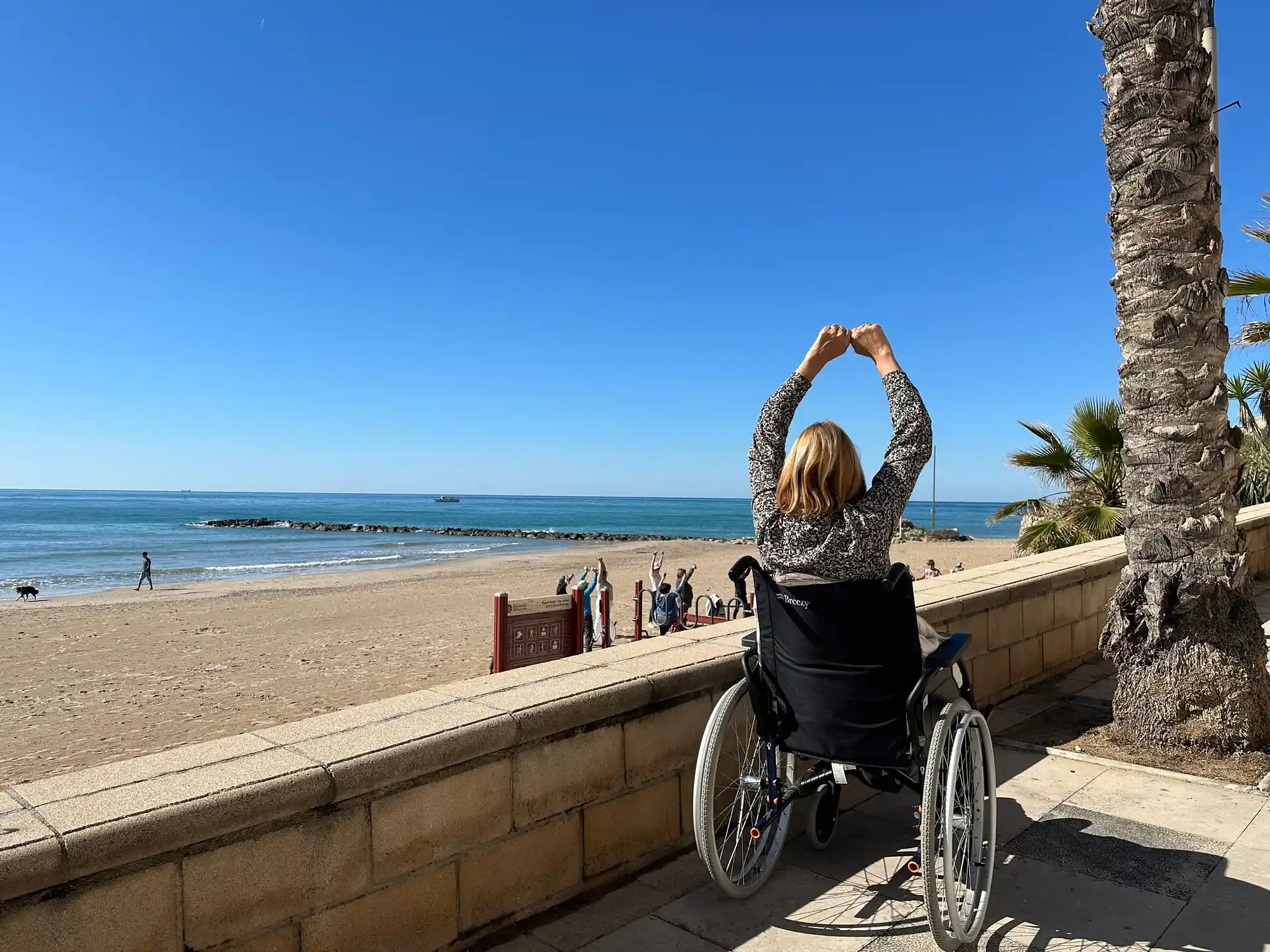 Persona en silla de ruedas frente al mar